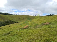 Fazenda / Sítio / Chácara com 3 Quartos à venda, 508200m² no Centro, Piracaia - Foto 20