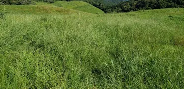 Fazenda / Sítio / Chácara com 2 Quartos à venda, 890000m² no Lagoinha, Tijucas do Sul - Foto 5