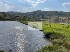 Fazenda / Sítio / Chácara com 7 Quartos à venda, 18000m² no Bateias de Baixo, Campo Alegre - Foto 18