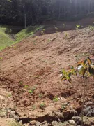 Fazenda / Sítio / Chácara à venda, 4000m² no Limeira, Brusque - Foto 3