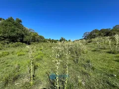 Fazenda / Sítio / Chácara à venda, 80m² no Vila Seca, Caxias do Sul - Foto 15