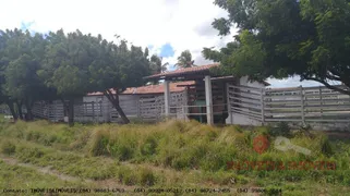 Fazenda / Sítio / Chácara com 6 Quartos à venda, 81m² no Zona Rural, Monte Alegre - Foto 29