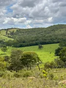 Fazenda / Sítio / Chácara com 3 Quartos à venda no Centro, Vila Propício - Foto 15