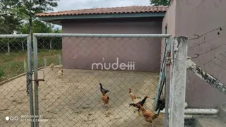 Fazenda / Sítio / Chácara com 4 Quartos à venda, 36000m² no Roça Velha, São José dos Pinhais - Foto 5