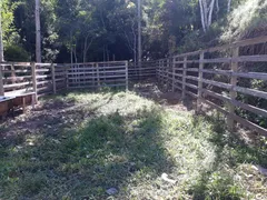 Fazenda / Sítio / Chácara com 5 Quartos à venda, 480000m² no Posse, Petrópolis - Foto 9