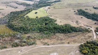 Fazenda / Sítio / Chácara à venda, 1694000m² no Vila Rezende, Piracicaba - Foto 16