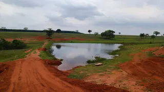 Fazenda / Sítio / Chácara à venda, 360m² no Onda Branca, Nova Granada - Foto 6