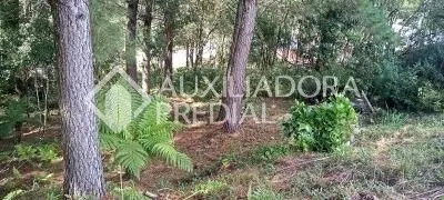 Terreno / Lote / Condomínio à venda, 450m² no Dutra, Gramado - Foto 6