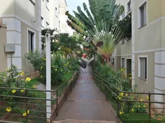 Apartamento com 2 Quartos à venda, 45m² no Ribeirânia, Ribeirão Preto - Foto 11