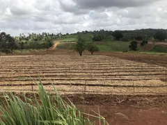 Fazenda / Sítio / Chácara com 2 Quartos à venda, 30000m² no Zona Rural, Glória do Goitá - Foto 14