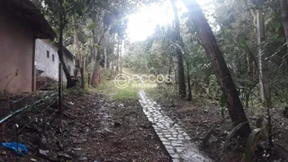 Fazenda / Sítio / Chácara com 4 Quartos à venda, 10000m² no Zona Rural, Uberlândia - Foto 13