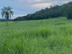 Fazenda / Sítio / Chácara à venda no Fronteira, Santo Antônio do Leverger - Foto 7