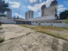 Terreno / Lote / Condomínio à venda, 1600m² no Vila Guilherme, São Paulo - Foto 1