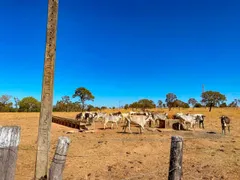 Fazenda / Sítio / Chácara com 8 Quartos à venda, 500000m² no Zona Rural, Luziânia - Foto 10