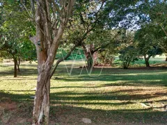 Fazenda / Sítio / Chácara com 5 Quartos à venda, 1920m² no Joaquim Egídio, Campinas - Foto 36