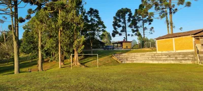 Fazenda / Sítio / Chácara com 3 Quartos à venda, 10000m² no Rancho Alegre, Campina Grande do Sul - Foto 9