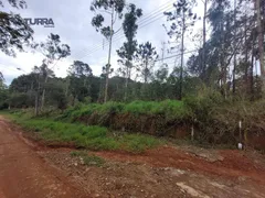 Terreno / Lote / Condomínio à venda, 10000m² no Jardim Estancia Brasil, Atibaia - Foto 3