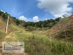 Terreno / Lote / Condomínio à venda, 121000m² no , Paraíba do Sul - Foto 4