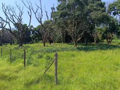 Fazenda / Sítio / Chácara à venda, 75000m² no Ilha de Guaratiba, Rio de Janeiro - Foto 15