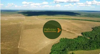 Fazenda / Sítio / Chácara à venda, 173707600m² no , Presidente Kennedy - Foto 8