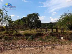 Fazenda / Sítio / Chácara com 1 Quarto à venda, 1100m² no Parque Aeroporto, Campinas - Foto 5