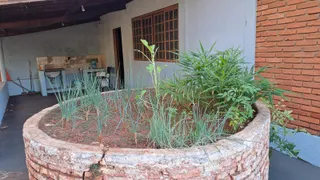Fazenda / Sítio / Chácara com 3 Quartos à venda, 250m² no Jardim Florestan Fernandes, Ribeirão Preto - Foto 5
