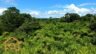 Fazenda / Sítio / Chácara com 2 Quartos à venda, 54000m² no Zona Rural, Juquiá - Foto 7