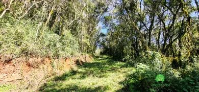 Fazenda / Sítio / Chácara à venda, 75625m² no Zona Rural, Monte Belo do Sul - Foto 3