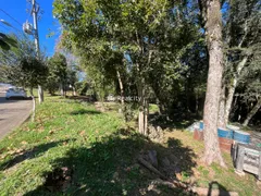 Terreno / Lote / Condomínio à venda, 1265m² no Vale dos Vinhedos, Bento Gonçalves - Foto 3