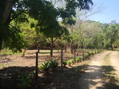 Fazenda / Sítio / Chácara com 3 Quartos à venda, 24200m² no Recreio Floresta, Jaguariúna - Foto 23
