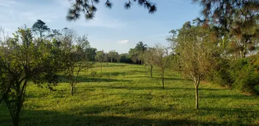 Fazenda / Sítio / Chácara com 4 Quartos à venda, 360000m² no Area Rural de Mogi das Cruzes, Mogi das Cruzes - Foto 15