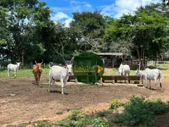 Fazenda / Sítio / Chácara à venda, 1171280m² no Zona Rural, Luziânia - Foto 3