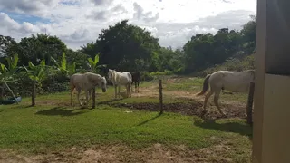 Fazenda / Sítio / Chácara com 1 Quarto à venda, 775m² no , Simões Filho - Foto 8