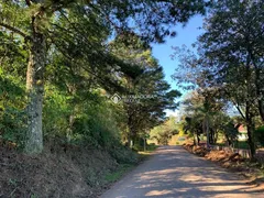 Fazenda / Sítio / Chácara à venda, 196162m² no Varzea Grande, Gramado - Foto 6