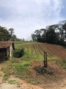 Fazenda / Sítio / Chácara com 5 Quartos à venda, 205m² no Santa Rosa, Teresópolis - Foto 8