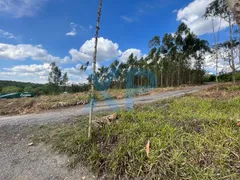 Fazenda / Sítio / Chácara com 2 Quartos à venda, 1500m² no Zona Rural, Carmo do Cajuru - Foto 9