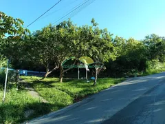 Casa com 3 Quartos à venda, 163m² no Pântano do Sul, Florianópolis - Foto 31