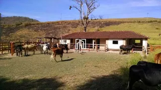 Fazenda / Sítio / Chácara com 4 Quartos à venda, 800m² no Recreio Dos Bandeirantes, Rio de Janeiro - Foto 16