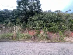 Terreno / Lote / Condomínio à venda, 254m² no Santo Antão, Bento Gonçalves - Foto 3
