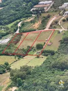 Terreno / Lote / Condomínio à venda, 10000m² no Garibaldina, Garibaldi - Foto 3