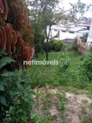 Terreno / Lote Comercial à venda, 300m² no Goiânia, Belo Horizonte - Foto 16