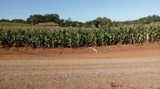 Terreno / Lote / Condomínio à venda, 1100m² no Imigrante, Lajeado - Foto 5