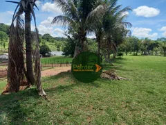 Fazenda / Sítio / Chácara à venda, 4307600m² no Zona Rural, Luziânia - Foto 9