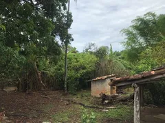 Fazenda / Sítio / Chácara com 3 Quartos à venda, 120m² no Zona Rural, Pirenópolis - Foto 15