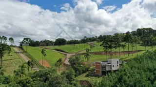 Terreno / Lote / Condomínio à venda, 1200m² no Saltinho, Campo Alegre - Foto 27