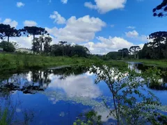 Terreno / Lote / Condomínio à venda no Contenda, São José dos Pinhais - Foto 4