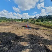 Fazenda / Sítio / Chácara à venda, 7900m² no Santa Terezinha, Fazenda Rio Grande - Foto 3