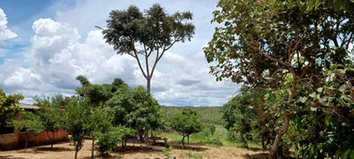 Fazenda / Sítio / Chácara com 4 Quartos à venda, 30000m² no Area Rural do Paranoa, Brasília - Foto 10