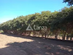 Fazenda / Sítio / Chácara com 4 Quartos à venda, 286m² no Vila Queiroz, Limeira - Foto 30