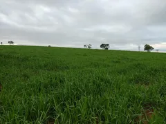 Fazenda / Sítio / Chácara à venda, 1483m² no Centro, General Carneiro - Foto 20